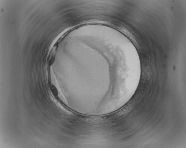 X0000066521092200604071546