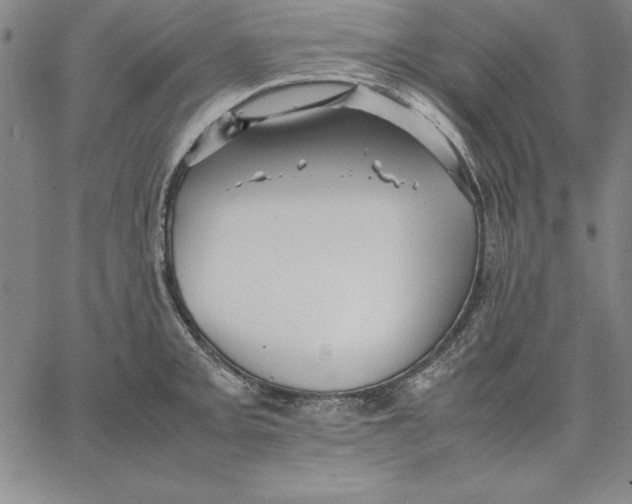 X0000066521093200604071546