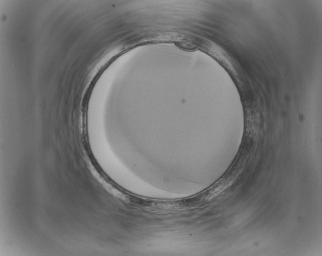 X0000066521095200604071546