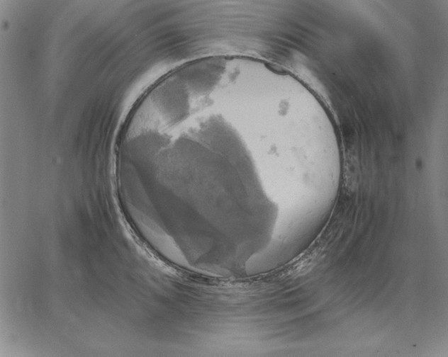 X0000066521096200604071546