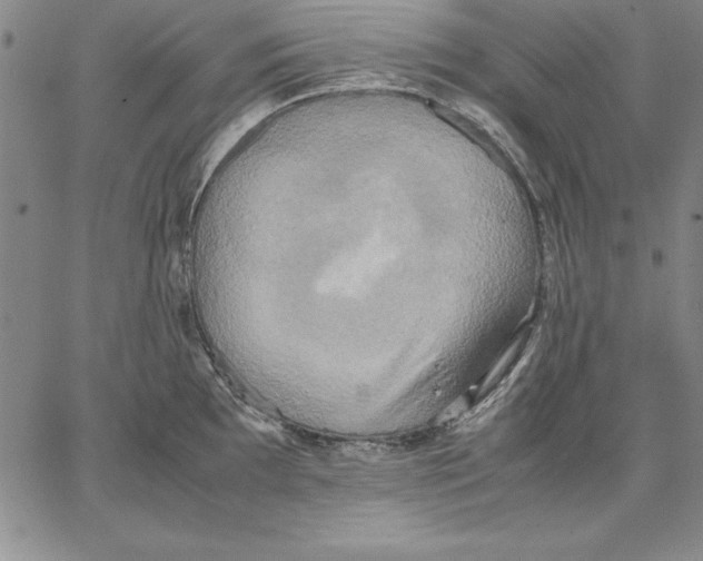 X0000066521097200604071546