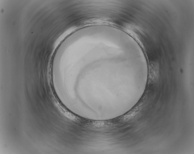 X0000066521098200604071546