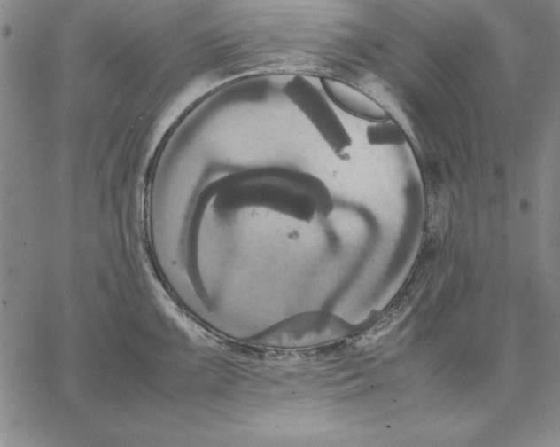 X0000066521099200604071546