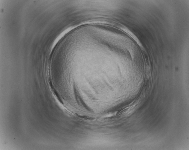 X0000066521101200604071546