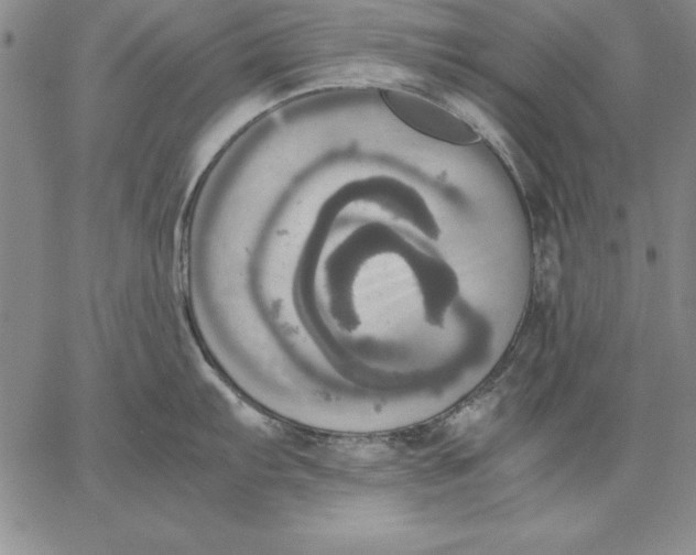 X0000066521103200604071546