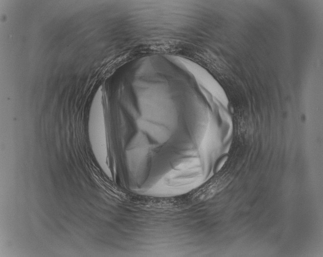 X0000066521106200604071545