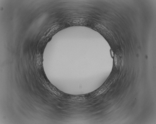 X0000066521107200604071545