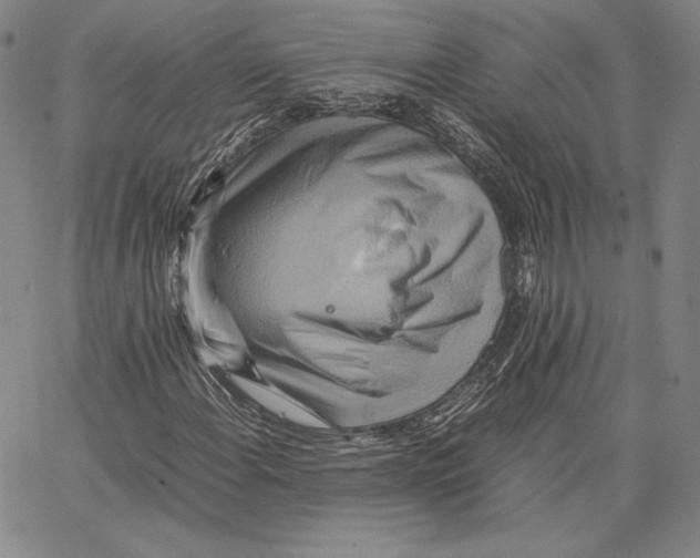 X0000066521108200604071545