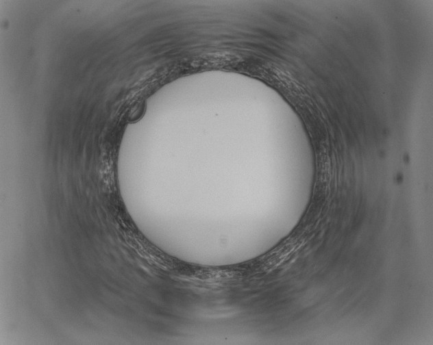 X0000066521109200604071545