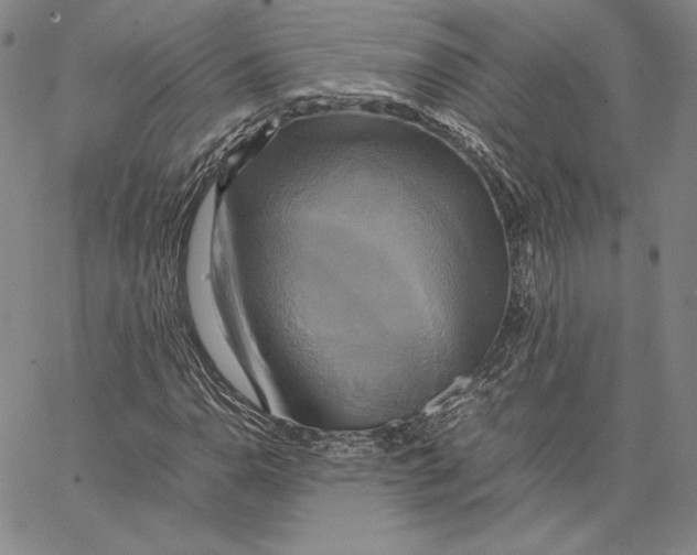 X0000066521110200604071545