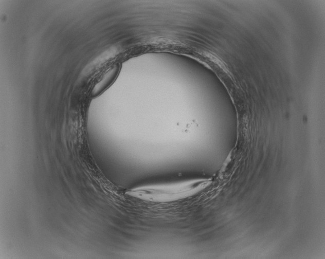 X0000066521111200604071545