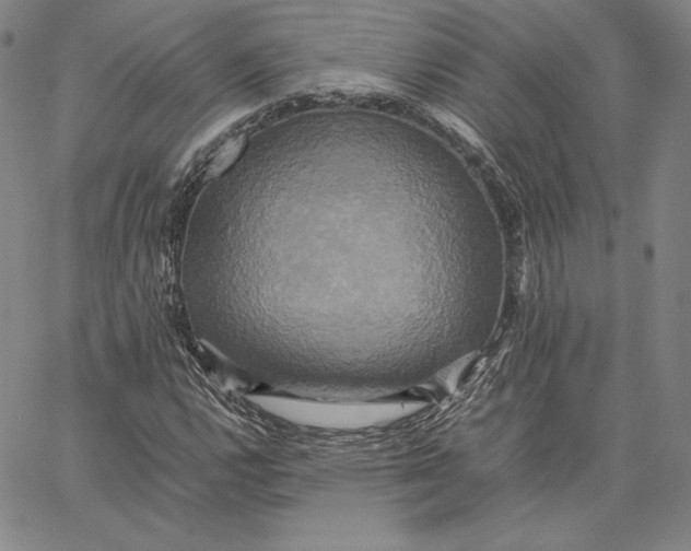 X0000066521112200604071545