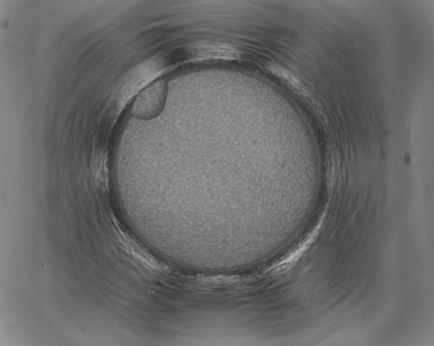 X0000066521113200604071545