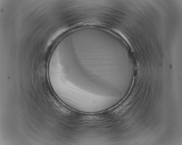 X0000066521115200604071545