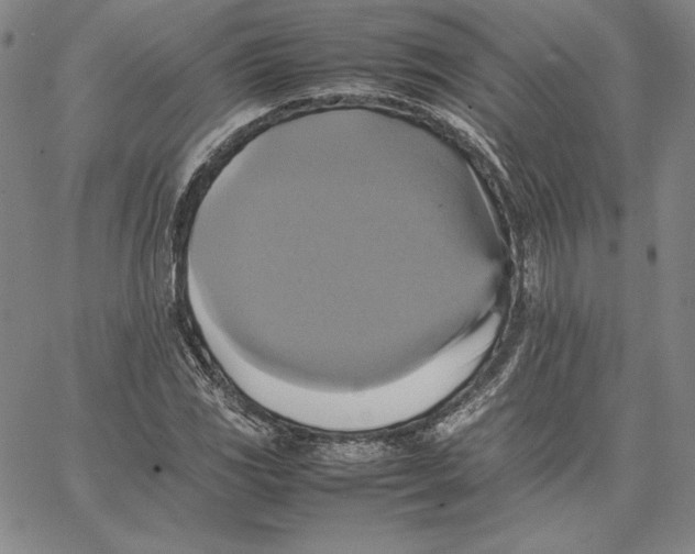 X0000066521117200604071545