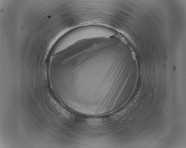 X0000066521118200604071545