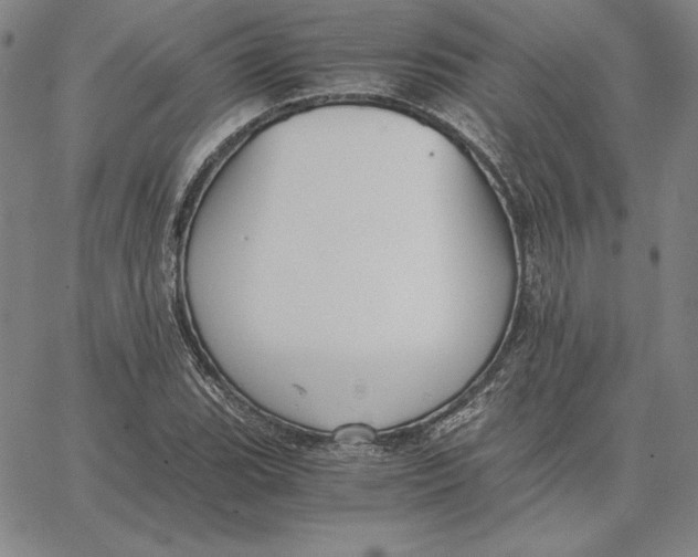 X0000066521119200604071545