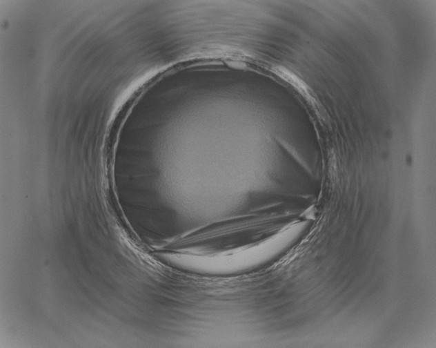 X0000066521120200604071545