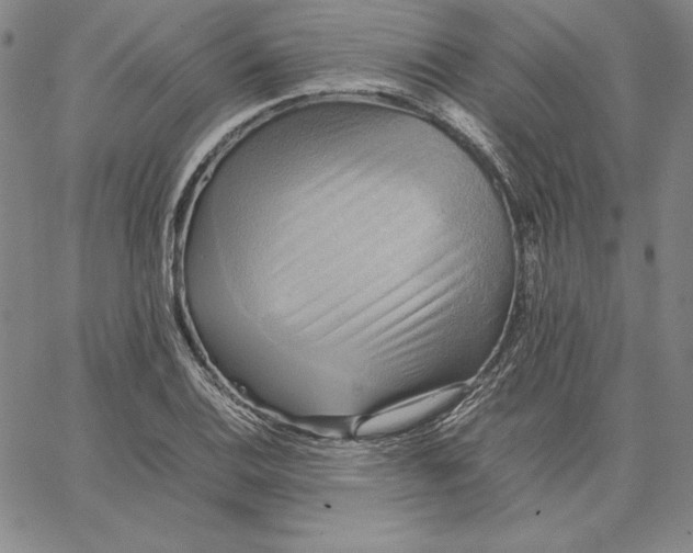 X0000066521124200604071545