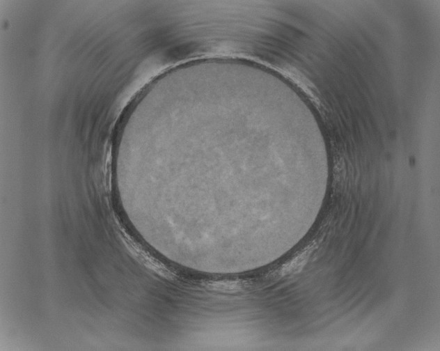 X0000066521126200604071545