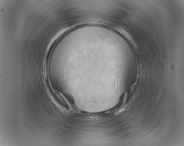 X0000066521128200604071545