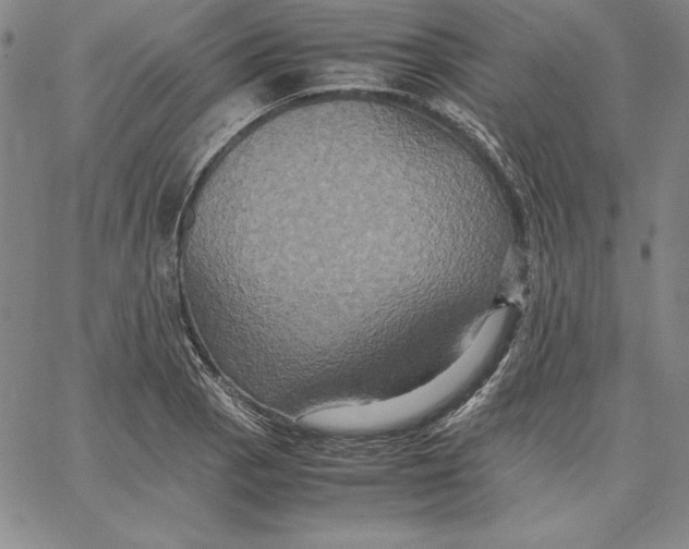 X0000066521129200604071545