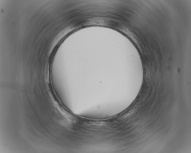 X0000066521131200604071545