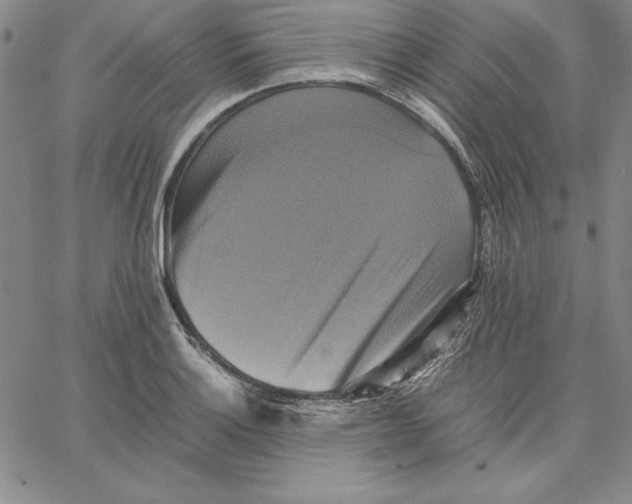 X0000066521132200604071545