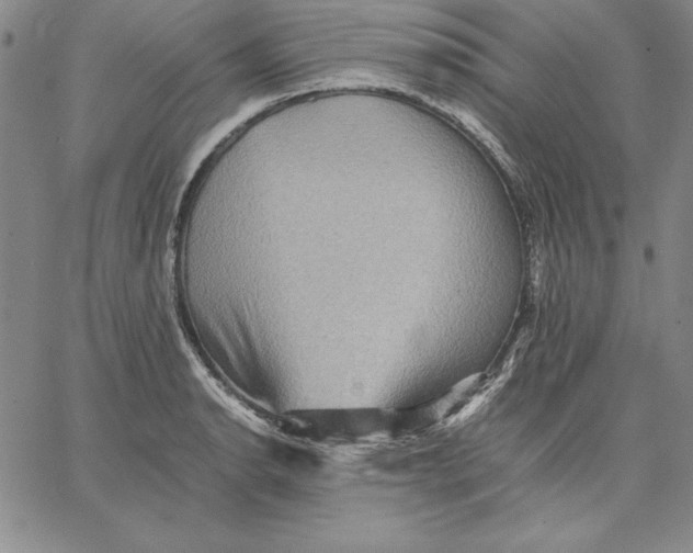 X0000066521134200604071545