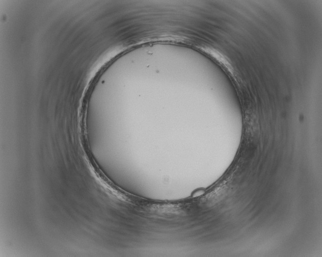 X0000066521135200604071545