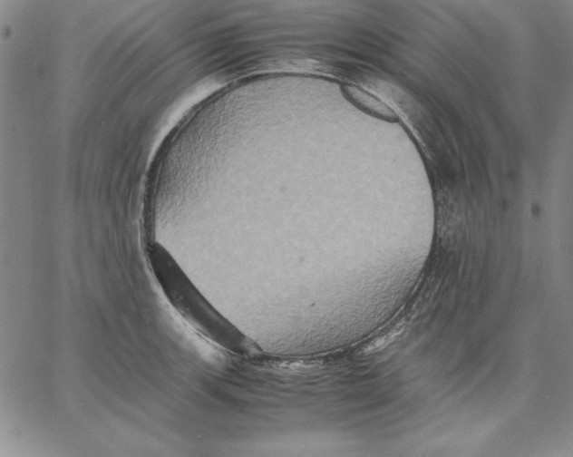 X0000066521139200604071545