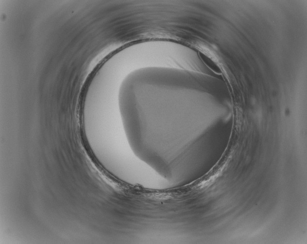 X0000066521141200604071545