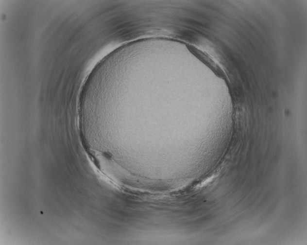 X0000066521143200604071545