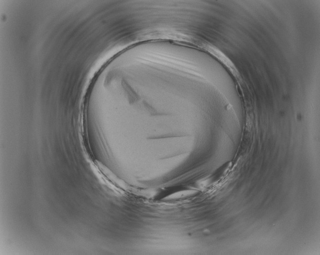 X0000066521144200604071545