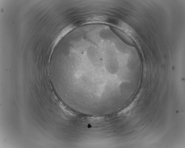 X0000066521145200604071545