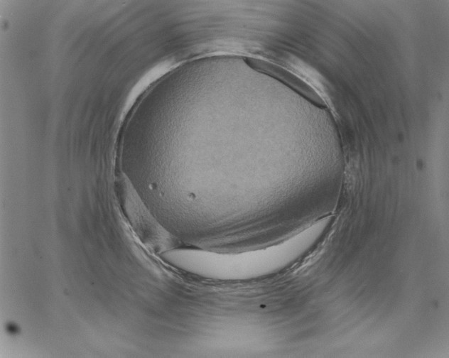 X0000066521146200604071545