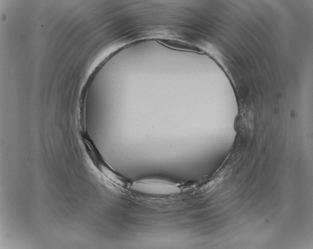 X0000066521147200604071545