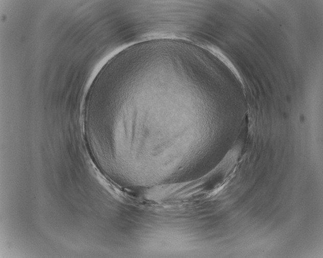 X0000066521148200604071545