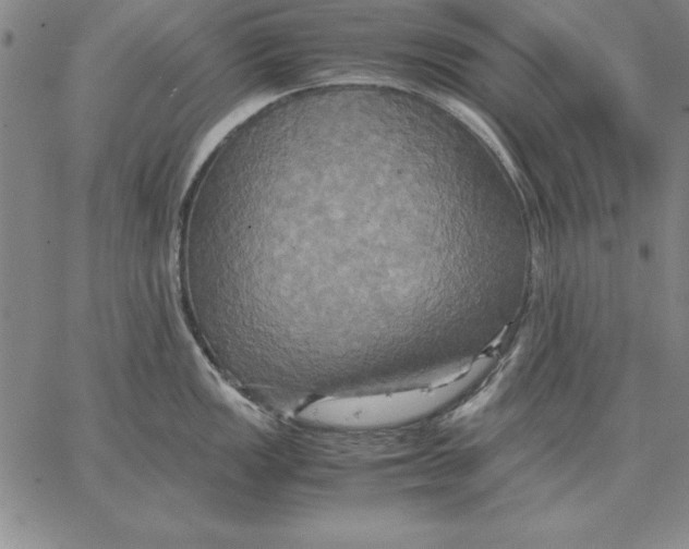 X0000066521149200604071545