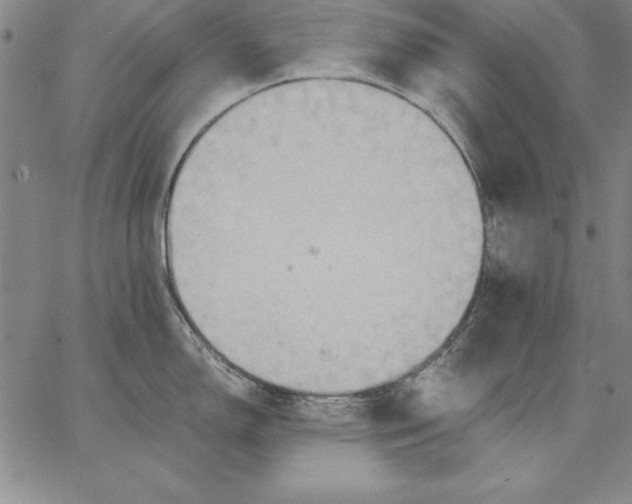 X0000066521150200604071545