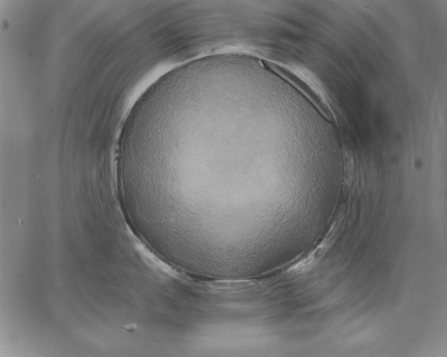 X0000066521151200604071545