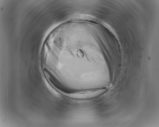 X0000066521152200604071545