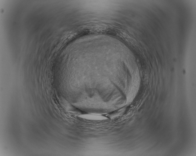 X0000066521153200604071545