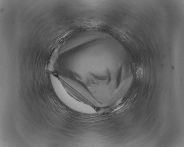 X0000066521156200604071545