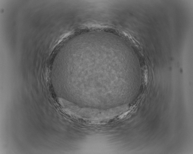 X0000066521157200604071545