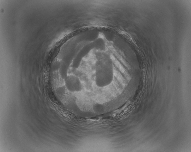 X0000066521159200604071545