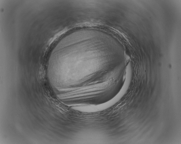 X0000066521160200604071545