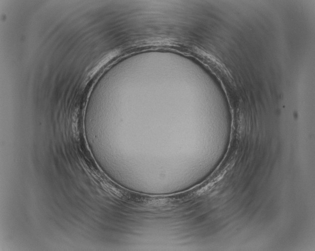 X0000066521162200604071545