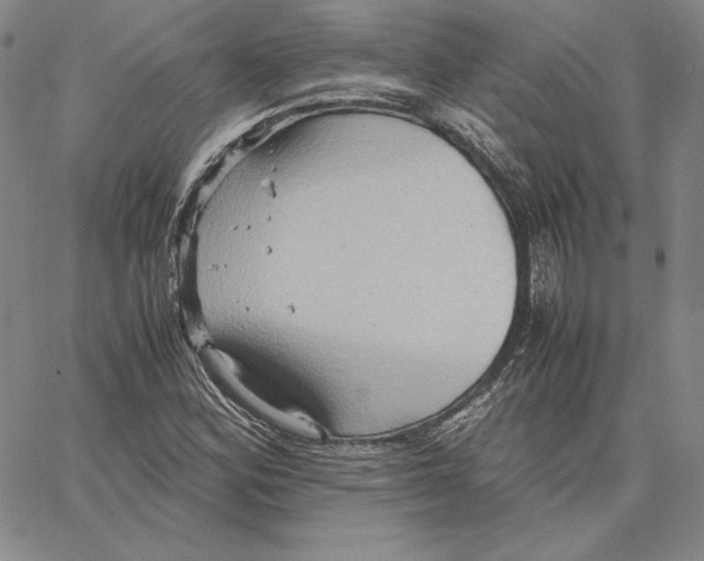 X0000066521164200604071545