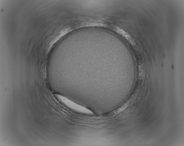 X0000066521165200604071545